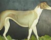 《十二生肖》―黄岩油画个展