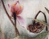 “新韵典雅”――潘炜萌工笔花鸟作品展