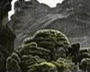 北墨南韵——黄云山水画展