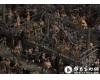 白立方画廊展出查普曼兄弟新作品 