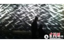 逾百原创版画现身南京 “我在”展现版画艺术家信心
