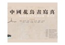 北禅写真院作品巡回展第二回即将开幕