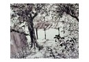 艺·展望——当代优秀青年水墨作品展