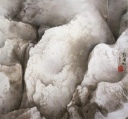 白雪是白的