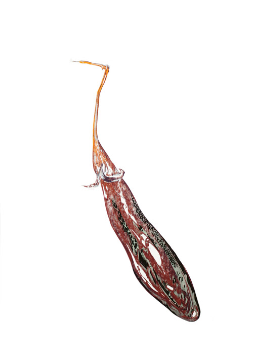 茄子