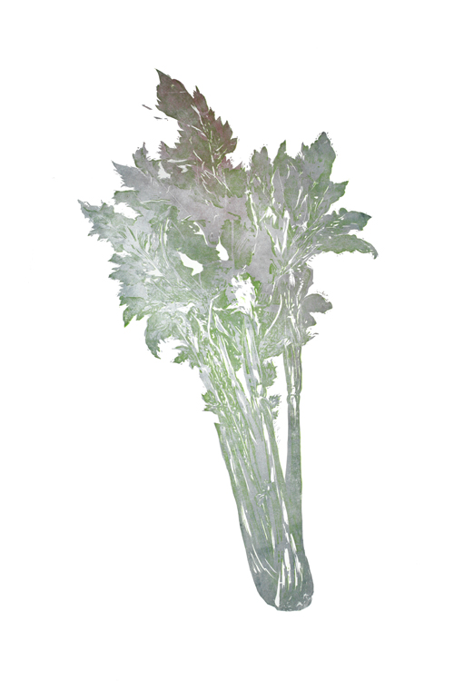 芹菜