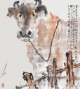 黄牛