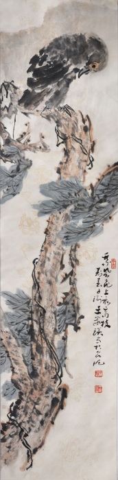 鹰