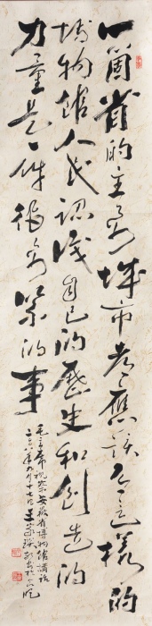 毛主席视察