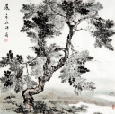 晨